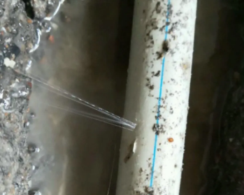 延庆卫生间测漏水多少钱
